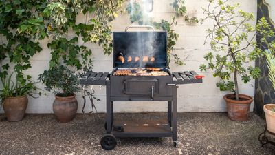 Have you heard of the potato trick? Discover how to make a grill non-stick using a kitchen leftover