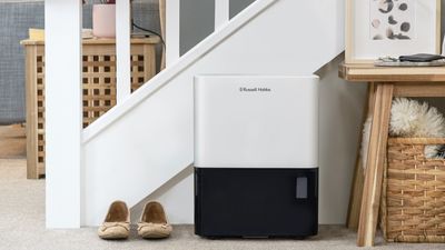 How long should a dehumidifier run per day? And is it OK to have it on continuously?