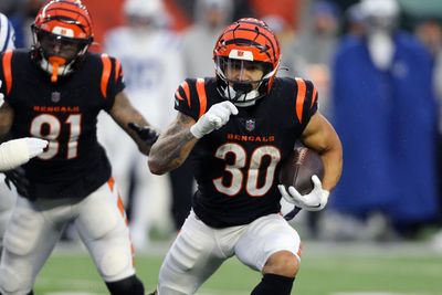 Fantasy football: Cincinnati Bengals running back breakdown