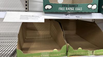 Shoppers urged not to scramble with egg-supply shortage