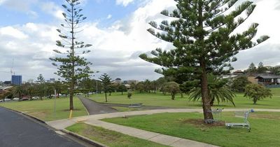 Ute allegedly hit skateboarder at Nesca Park: teen charged with reckless driving