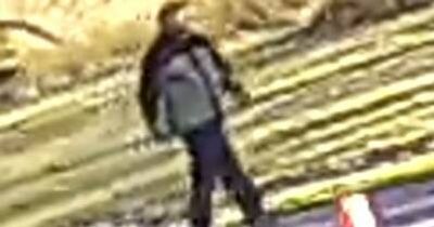 Man in custody after attempted abductions in Mawson