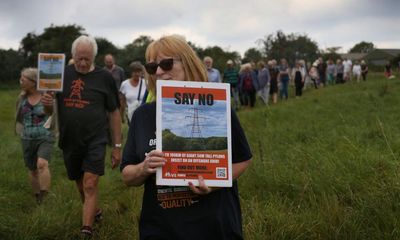 Tory pledge to review pylons could lead to energy bill hike, say experts