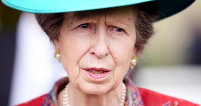 Princess Anne taken to hospital with minor injuries after 'horse accident'