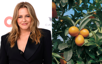 Alicia Silverstone Grows This Fruit Tree in Her Yard — It's Bountiful and Low Maintenance, Say Experts