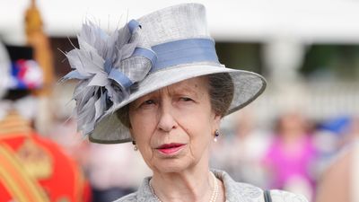 Princess Anne in hospital with 'minor injuries' and concussion after incident at royal estate
