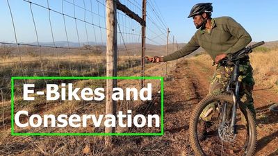 These Specialized E-Bikes Are Being Used to Keep African Poachers at Bay