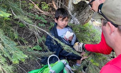 Boy, four, survives 22 hours in California wilderness after straying from campsite