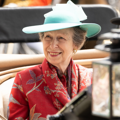 Princess Anne has been admitted to hospital after 'horse incident' at royal estate