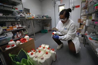 ‘A head-in-the-sand approach’: The U.S. strategic drug stockpile is inadequate for a bird flu outbreak