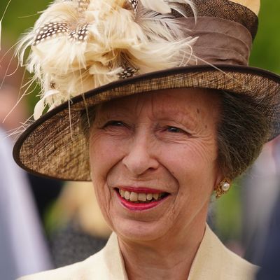 Princess Anne—the British Royal Family’s Longtime Hardest Working Royal—Is Currently In Hospital Following an Incident at Her Home, Gatcombe Park