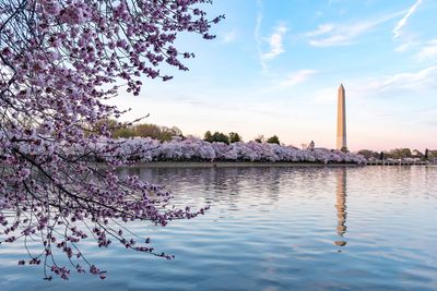 The trip that changed D.C. for me