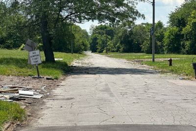 Detroit plans to rein in solar power on vacant lots throughout the city