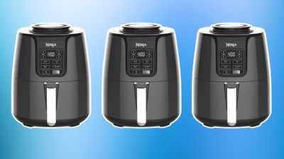 Amazon's #1 bestselling air fryer from Ninja is on sale now with over 30% off