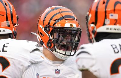 Bengals land interesting spot in updated power rankings