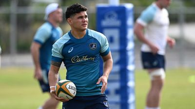 Refreshed Lolesio relishing another crack for Wallabies