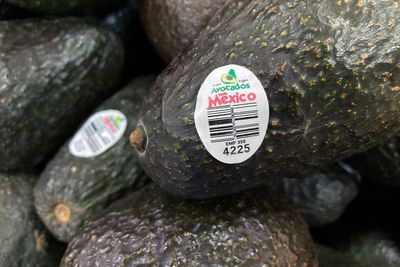 US ambassador visits conflict-ridden Mexican state to expedite avocado inspections