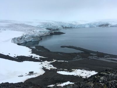 Antarctic Faces Melting 'Tipping Point' As Oceans Warm: Study