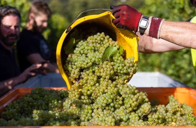 The U.K.'s wine business is booming, so much so that Britain's largest winemaker is considering putting itself up for sale to fund expansion