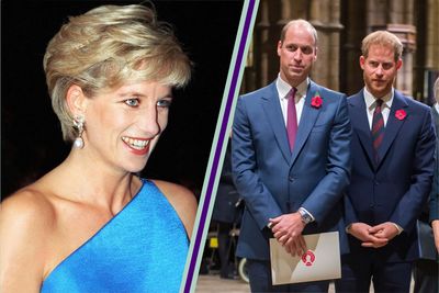 Princess Diana left the bulk of her fortune to sons Prince William and Prince Harry - but there’s one thing from her childhood they’ll never inherit and the real heir is surprising