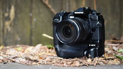 OM System M.Zuiko 12-40mm f/2.8 Pro II review: the Micro Four Thirds MVP