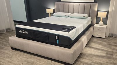 I tested the new Tempur-Adapt mattresses and discovered Tempur-Pedic's most well-balanced bed yet