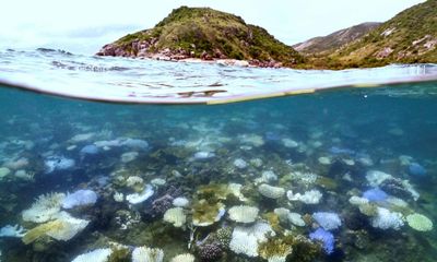 ‘Most of it was dead’: scientists discover one of Great Barrier Reef’s worst coral bleaching events