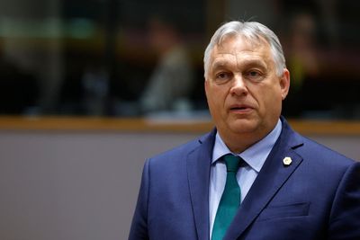 Hungary's 'sovereignty protection' office launches investigation into Transparency International