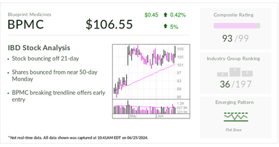 How IBD Stock Of The Day Blueprint Medicines 'Knocked It Out Of The Park'