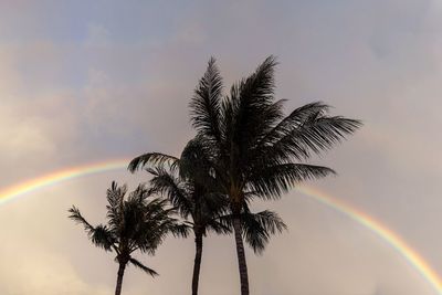 Youth force Hawai'i climate action