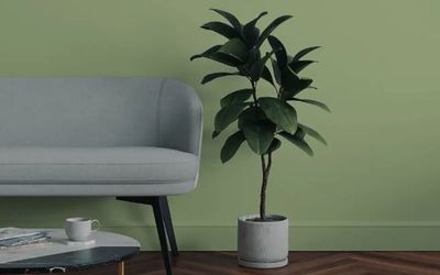 Best paint for skirting boards: Freshen up your home interiors