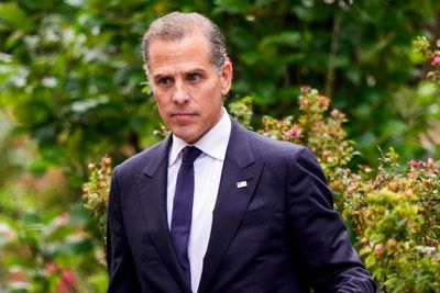 Hunter Biden law licence suspended after conviction in gun case
