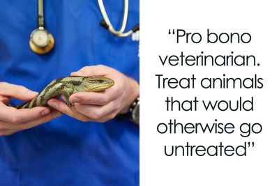 “If Salary Wasn’t A Consideration, What Is The Most Attractive Profession?” (30 Answers)