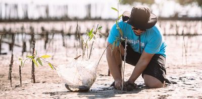 Five ways to improve the global voluntary carbon credit markets