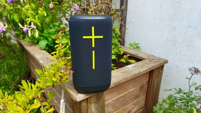 The feature-laden UE Everboom is a small Bluetooth speaker with a sizeable price tag