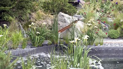 How to reduce water waste in your yard – 5 water-saving solutions for greener summer gardening