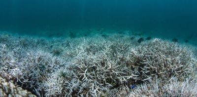 Devastating coral bleaching will be more common, start earlier and last longer unless we cut emissions