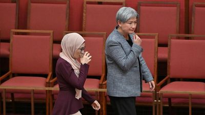 Ministers back benching senator for pro-Palestine vote