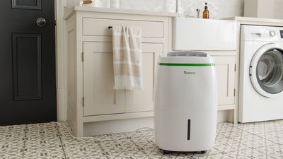 This is the best place to put a dehumidifier – to get maximum efficiency