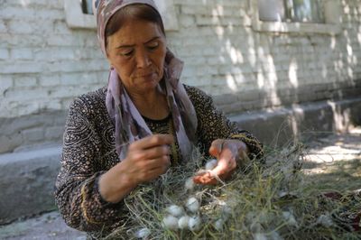 Uzbekistan Tries To Put Fresh Spin On Its Silk Industry