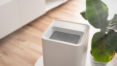 What does a dehumidifier do – and does your home need one?