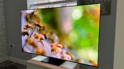 Samsung S95D vs S95C: which flagship OLED TV should you buy?