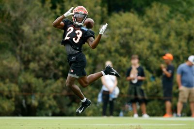 Dax Hill tabbed as biggest surprise for Bengals this spring