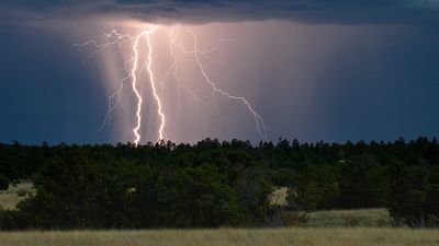 7 hikers, all kids, hospitalized after lightning strikes youth group on trail