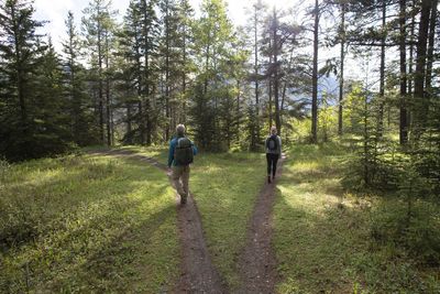 Roth 401(k) vs 401(k): Which Is Right for You?