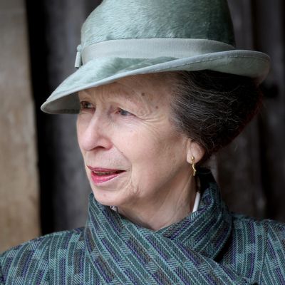 Princess Anne Has Likely Been “Loathing Being the Center of Attention” This Week Following a Concussion and Subsequent Hospital Stay