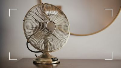 Is it safe to leave an electric fan on overnight? Appliance experts share safety advice
