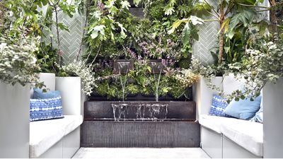 How to garden on a north-facing balcony – 3 ways to create a shady green oasis