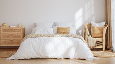 Get rid of ants in the bedroom fast — 5 simple steps pest control pros always take