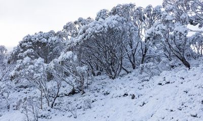Eastern Australia to shiver through cold week as snow predicted for ski fields in Victoria and NSW